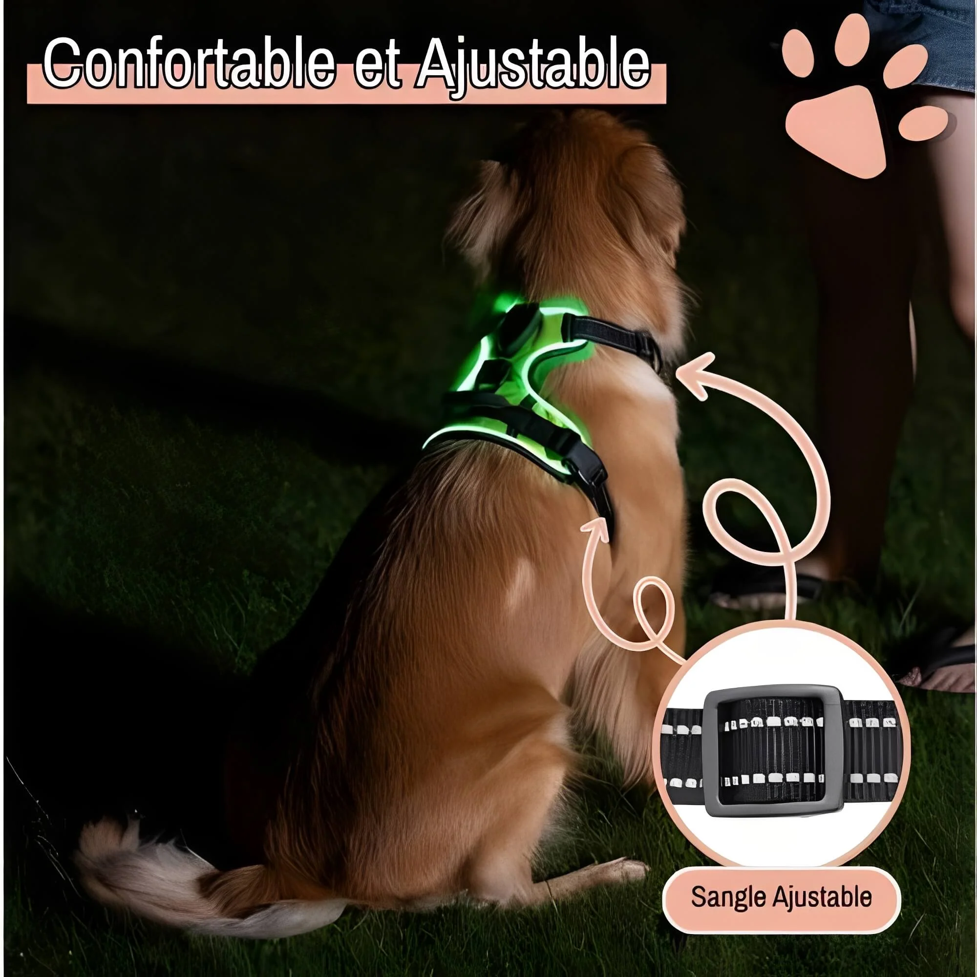 Harnais Lumineux Pour Chien - Réglable | JuJuLumiHarness™ – Image 4