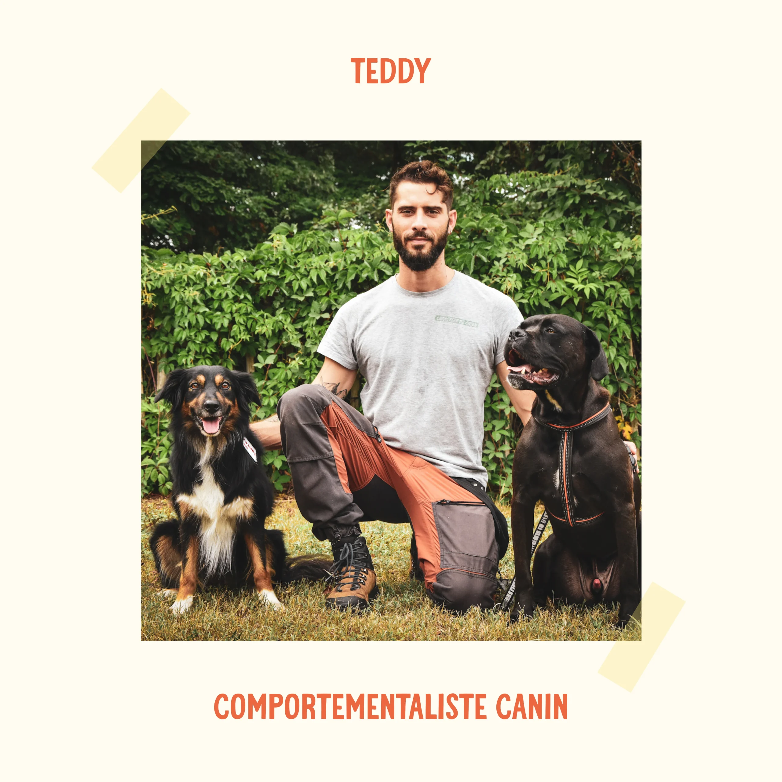 Atelier #2 : Décryptage chiot et chien adolescent - 04.12.2023 – Image 2