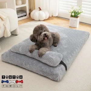 Lit pour chien - OrthopédiqueToutou™